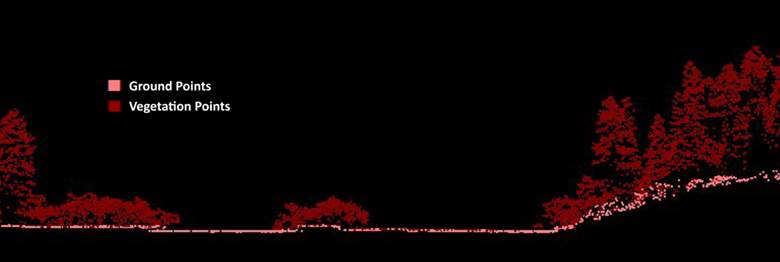A red tree in the dark
AI-generated content may be incorrect.