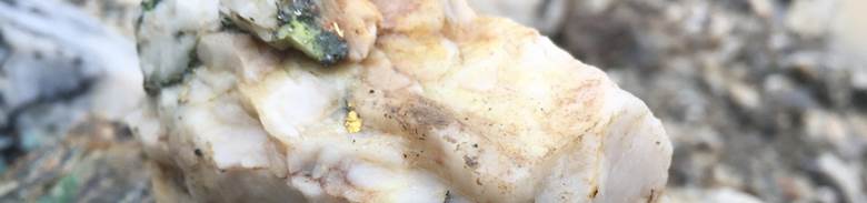 A close up of food
AI-generated content may be incorrect.