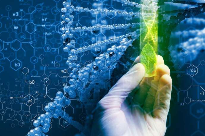 Milliardenmarkt Onkologie&colon; Der n&auml;chste Blockbuster&quest; Pharma-Riesen setzen auf Milliardenmarkt f&uuml;r Brustkrebs-Impfung