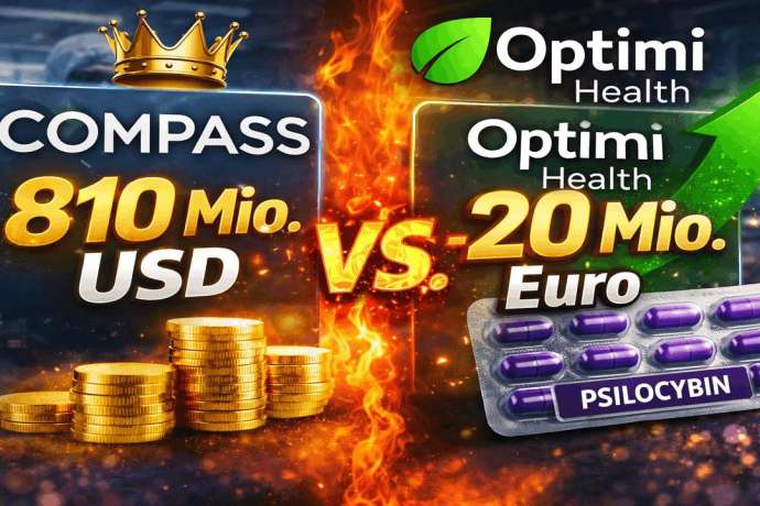 Die gr&ouml;&szlig;te Bewertungsl&uuml;cke im globalen Mental-Health-Markt