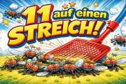 Breaking News: 11 Fliegen auf einen Streich!
