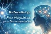 NurExone Biologic: ExoPTEN – heilen statt verlangsamen!