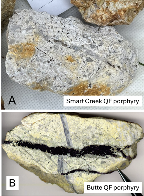 Butte QF porphyry
AI-generated content may be incorrect.
