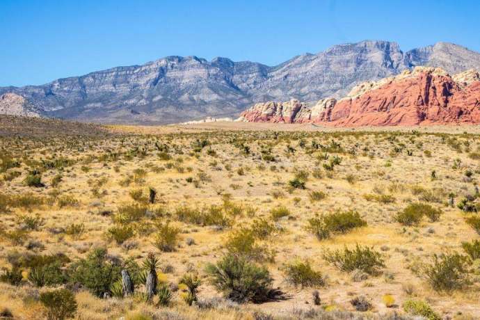 Sicherer Hafen mit Hebel&colon; Dieser Gold-Play k&ouml;nnte jetzt durchstarten