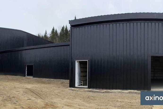 Analysten sehen Gold-Developer vor wichtigen Meilensteinen