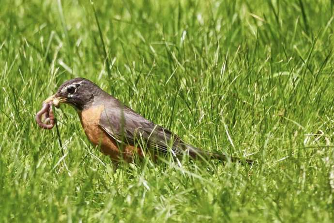 Ein Milliardenproblem ohne L&ouml;sung &ndash; Warum genau das f&uuml;r Anleger entscheidend wird