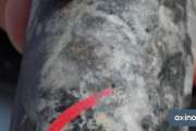 Sichtbares Gold im Bohrkern: Hochgradige Abschnitte in Australien