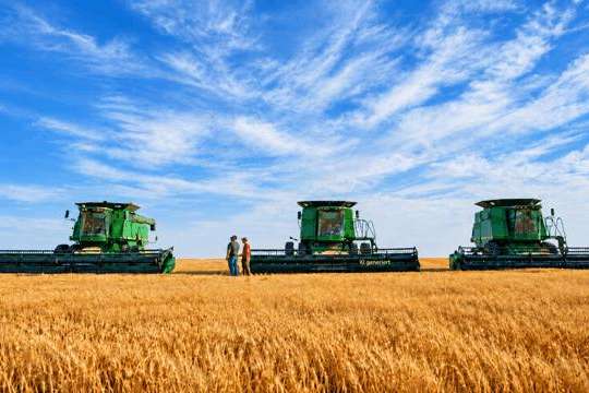 Dünger und Landwirtschaft…: Der lachende Dritte im neuen Kali-Poker?