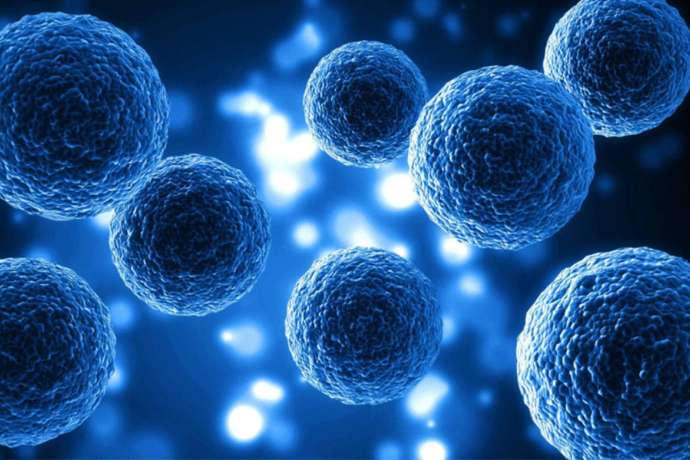 NurExone Biologic: Kommerzialisierung der „Super-Exosomen“