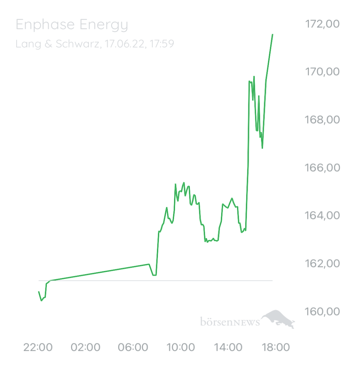 Wespen ENPHASE ENERGY