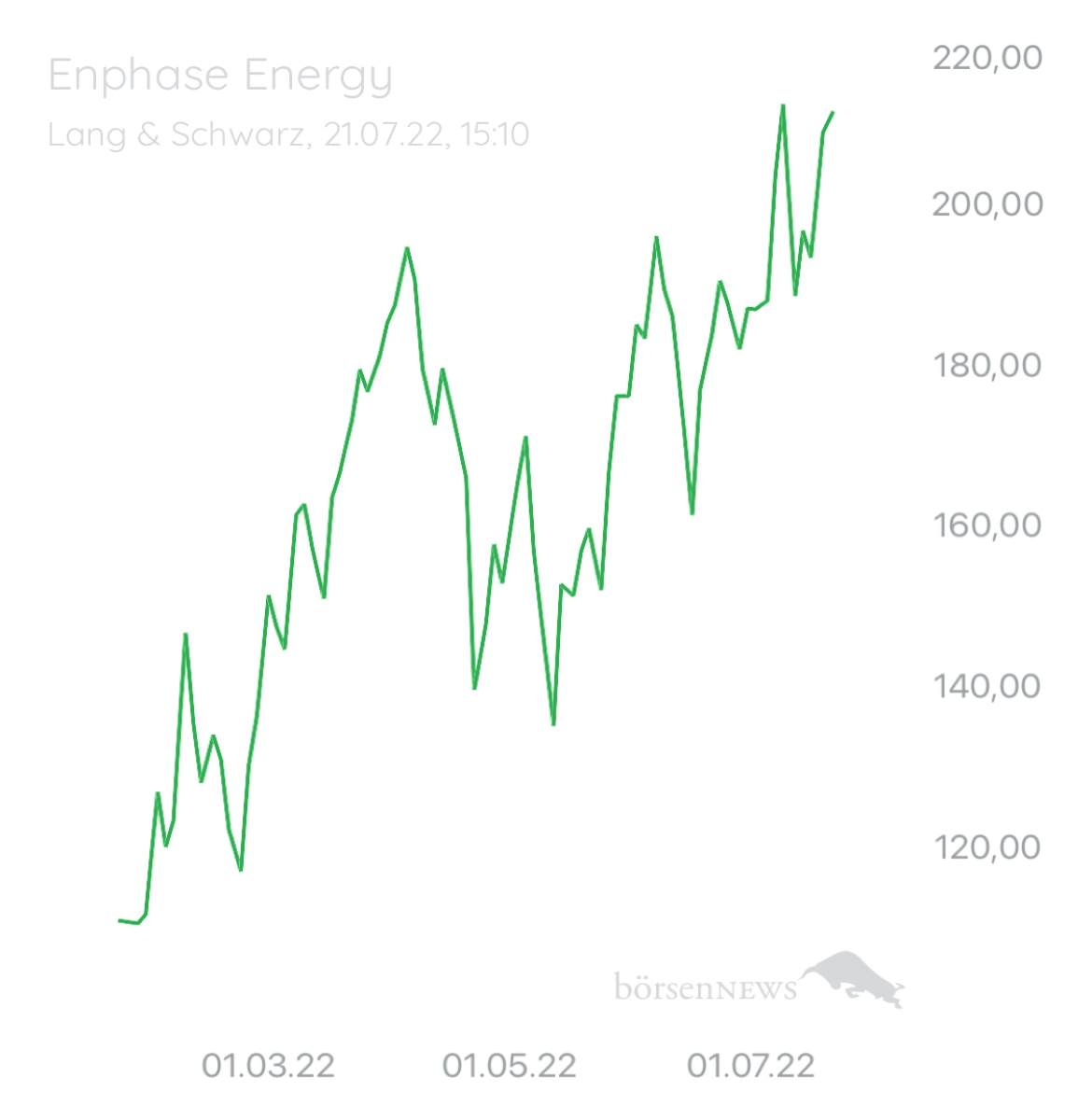 Wespen ENPHASE ENERGY
