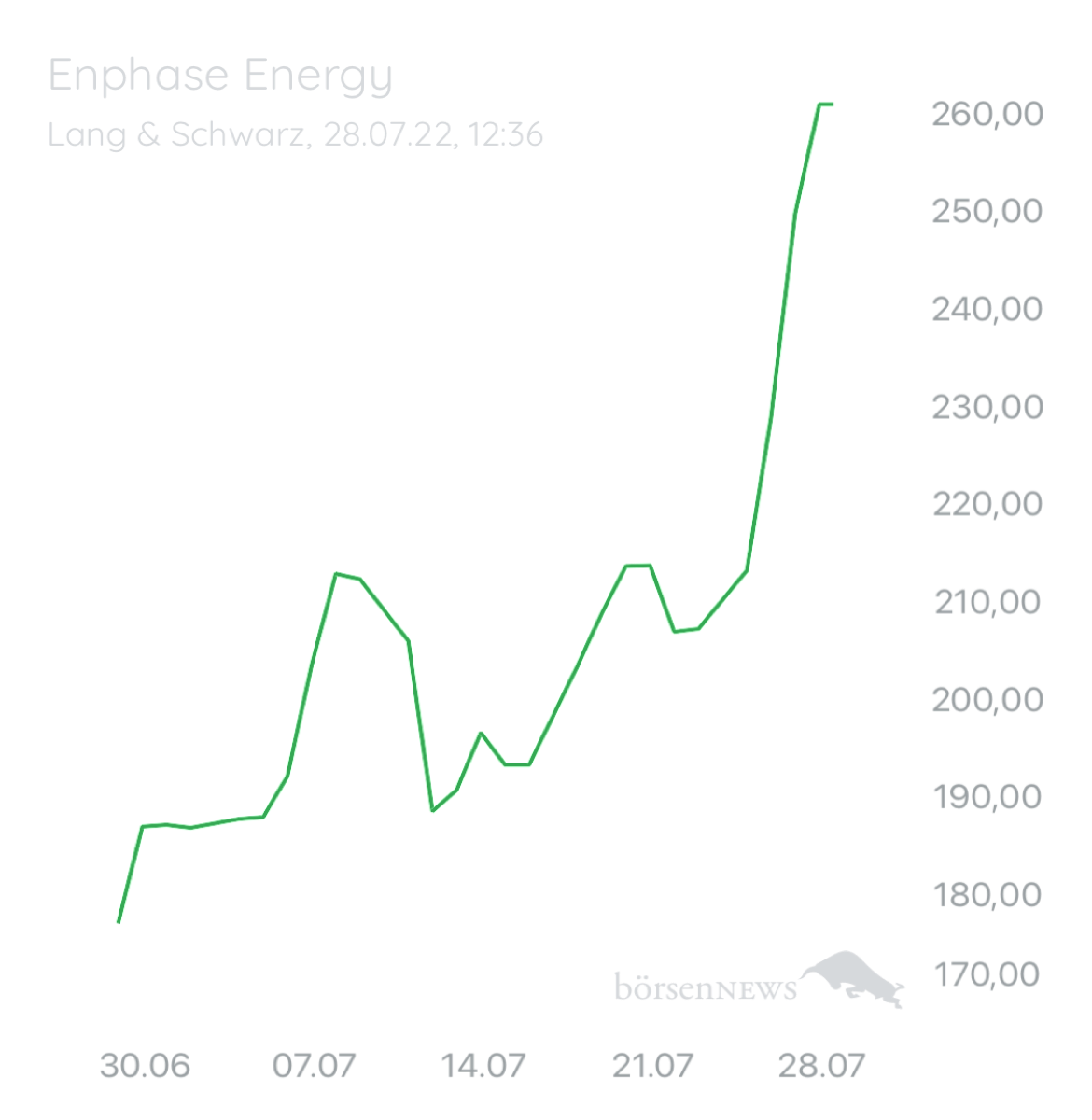 Wespen ENPHASE ENERGY