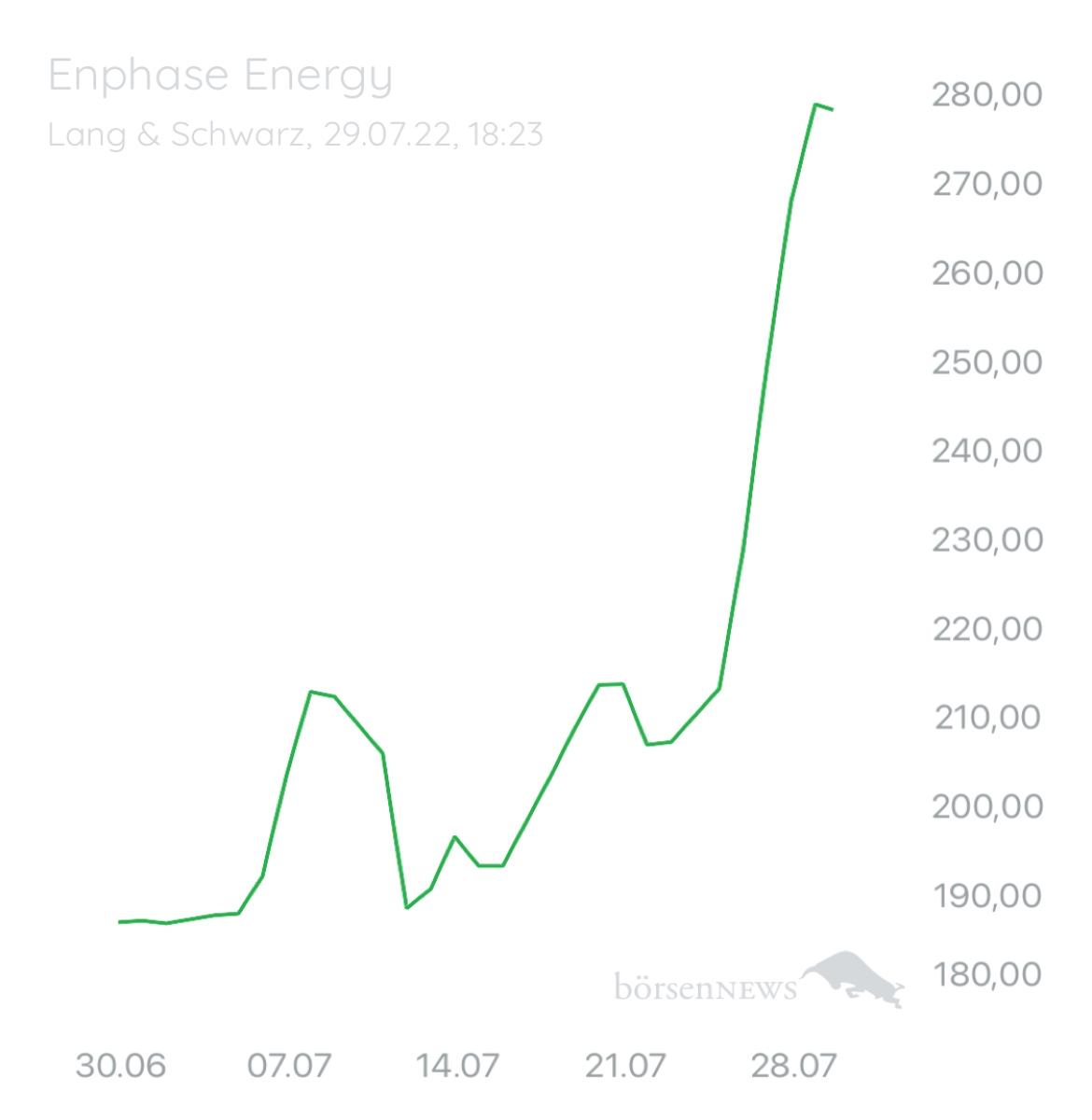 Wespen ENPHASE ENERGY