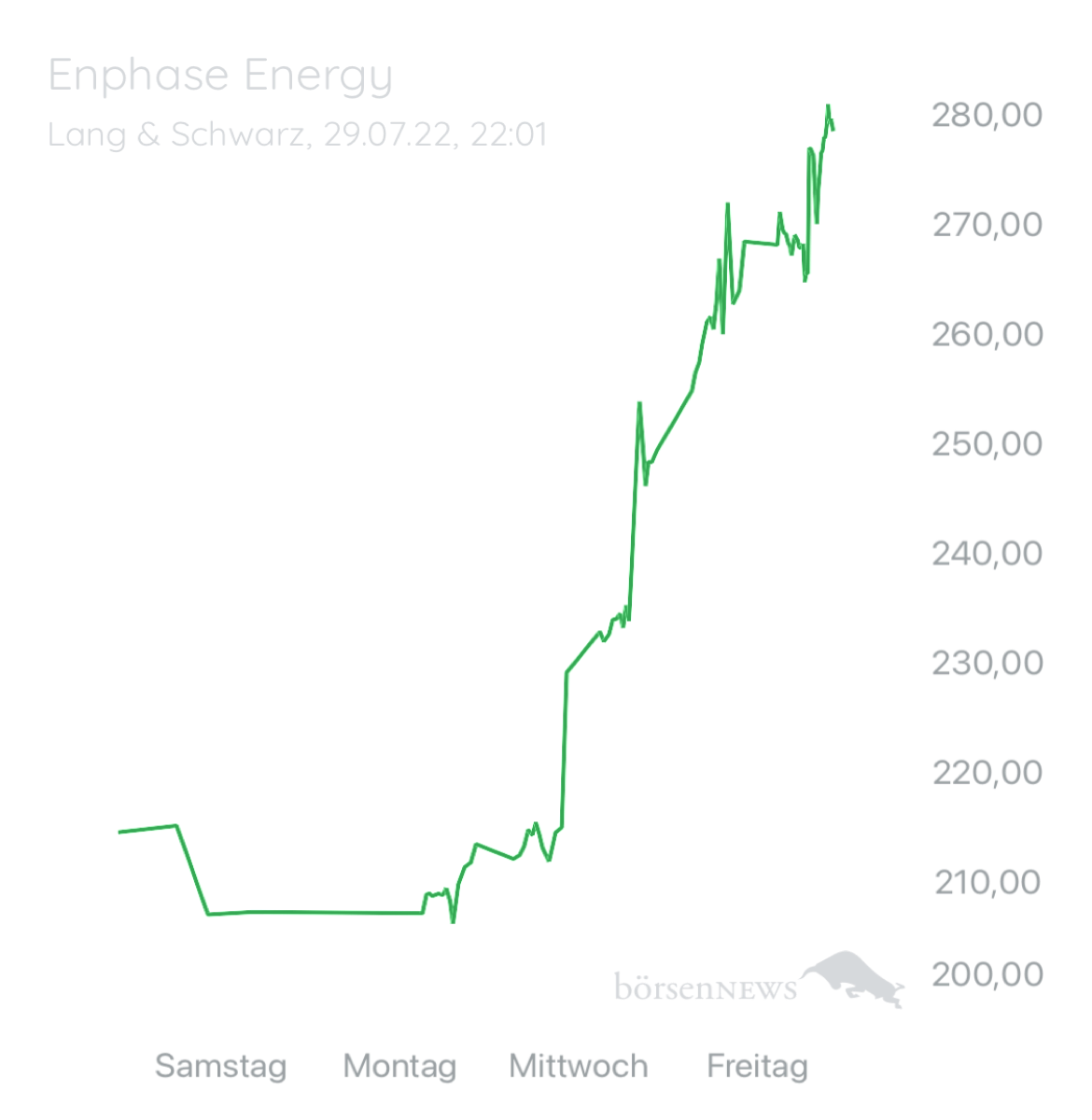 Wespen ENPHASE ENERGY