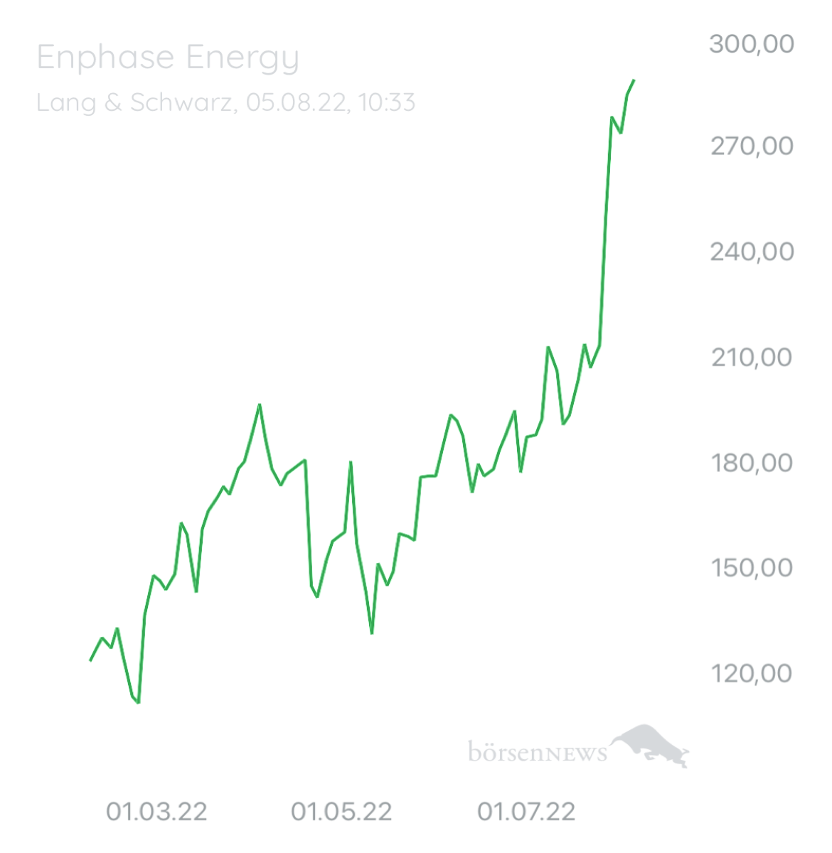 Wespen ENPHASE ENERGY