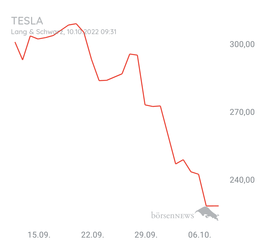 Guesa TESLA MOTORS