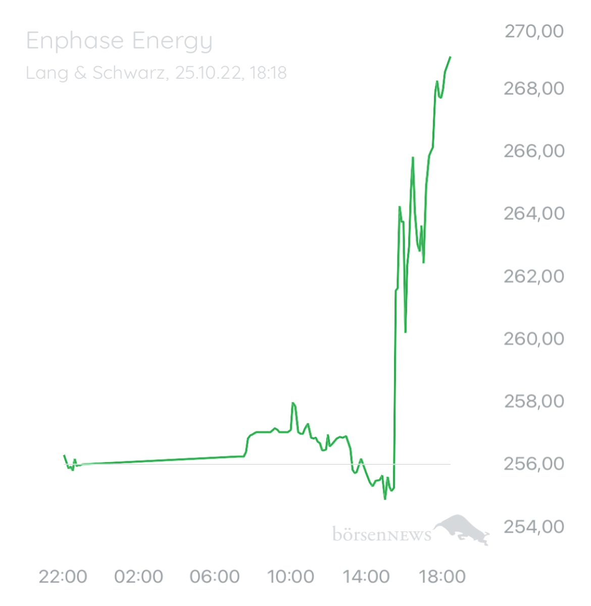 Wespen ENPHASE ENERGY