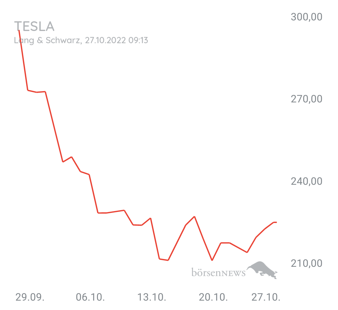 Guesa TESLA MOTORS