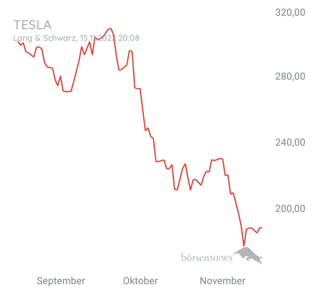 Guesa TESLA MOTORS