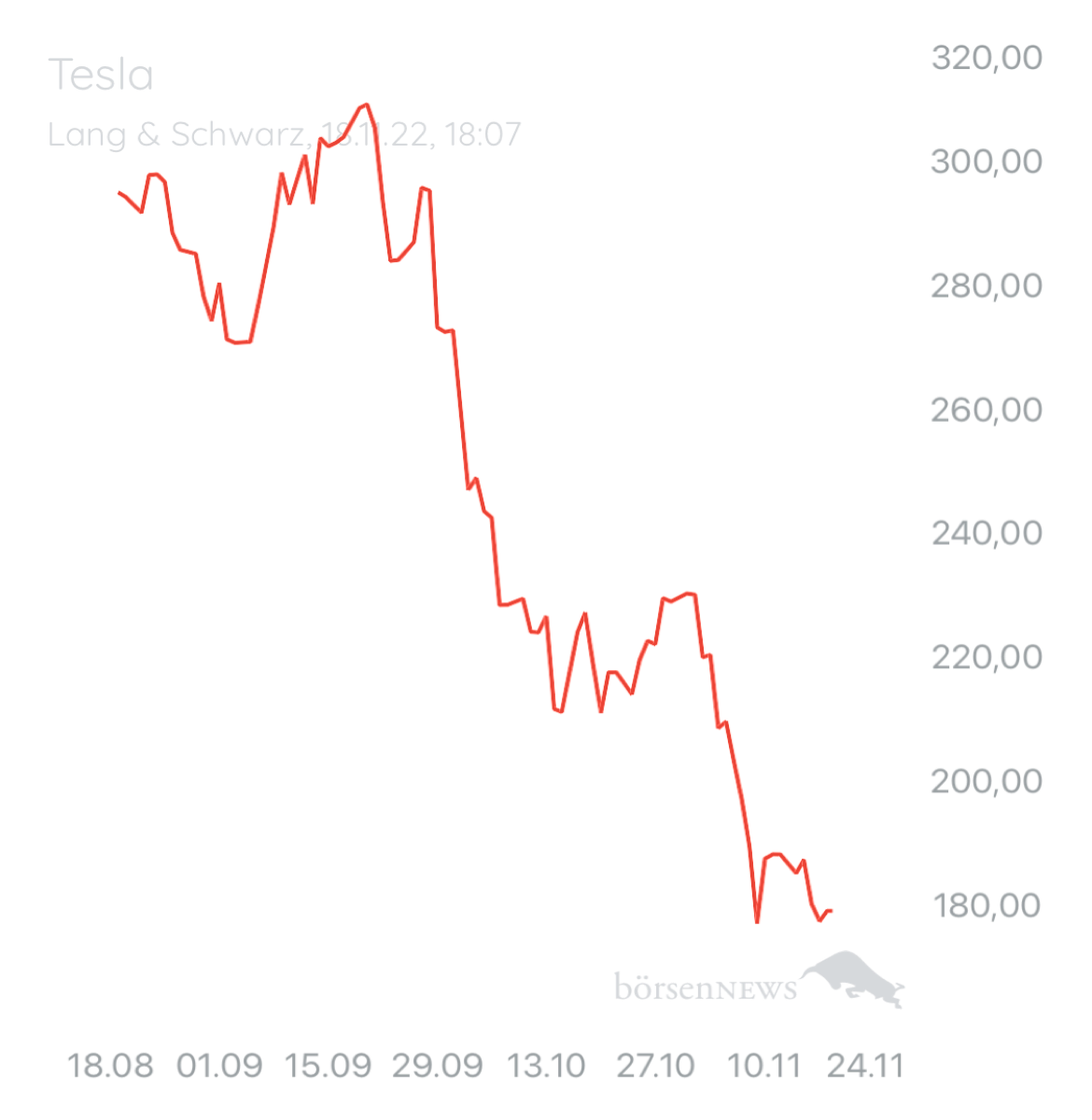 Wespen TESLA MOTORS