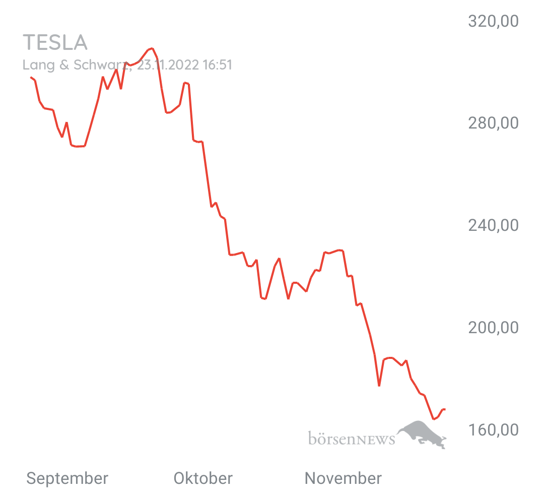 Guesa TESLA MOTORS