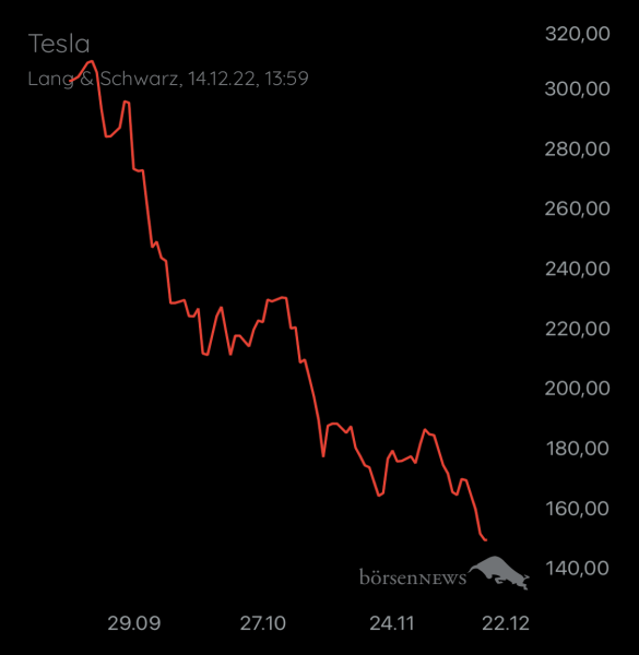 Wespen TESLA MOTORS