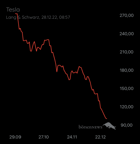 Wespen TESLA MOTORS