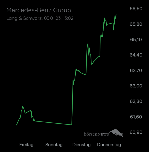 Wespen Mercedes-Benz Group