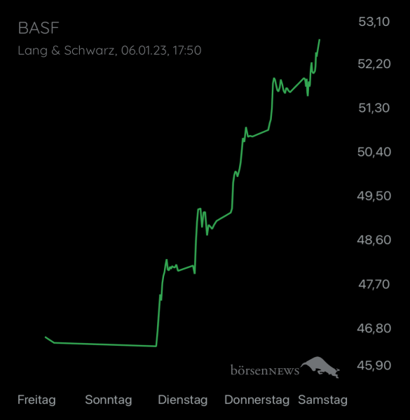 Wespen BASF