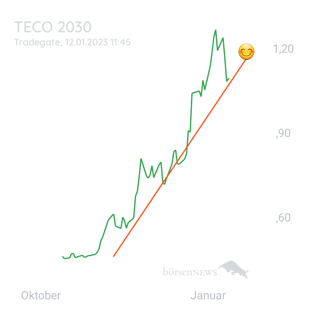 1000prozentig!!! TECO 2030 mit Verstand