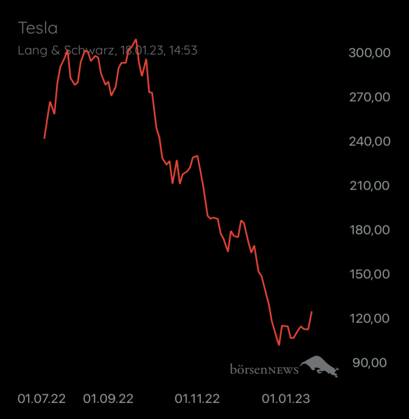 Wespen TESLA MOTORS