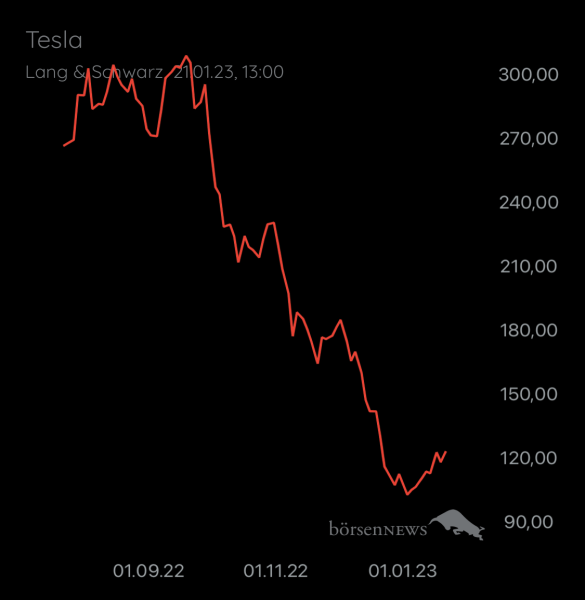 Wespen TESLA MOTORS