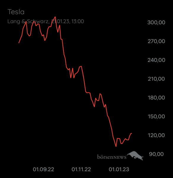 Wespen TESLA MOTORS