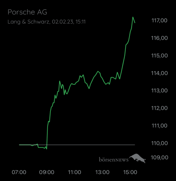 Wespen PAG911