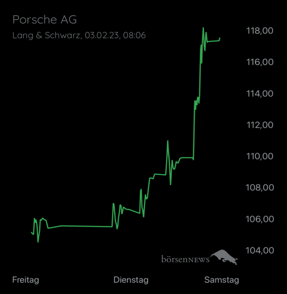 Wespen PAG911