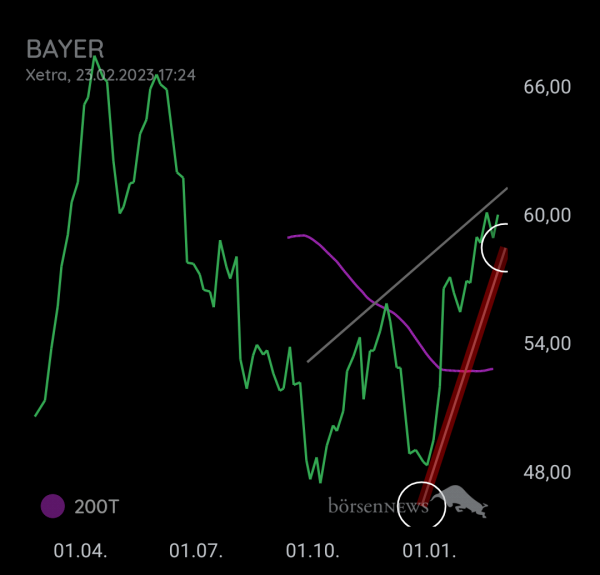 Bay5anto BAYER
