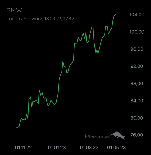 Wespen BMW