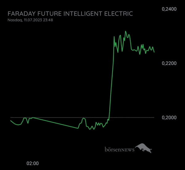 Gast-753113600 Faraday Future