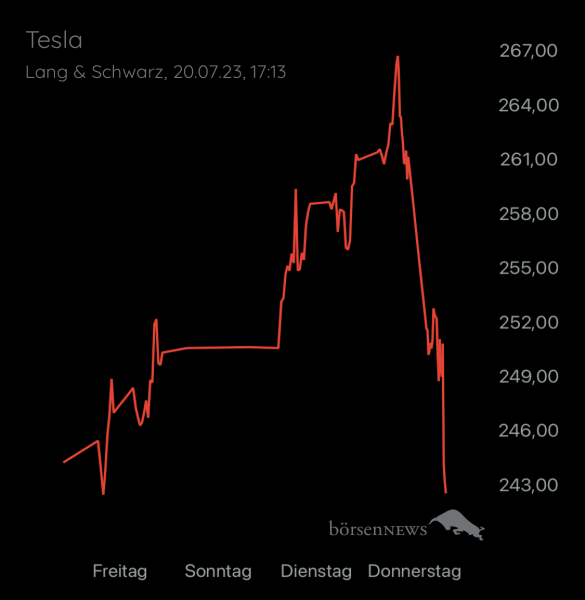 Wespen TESLA MOTORS