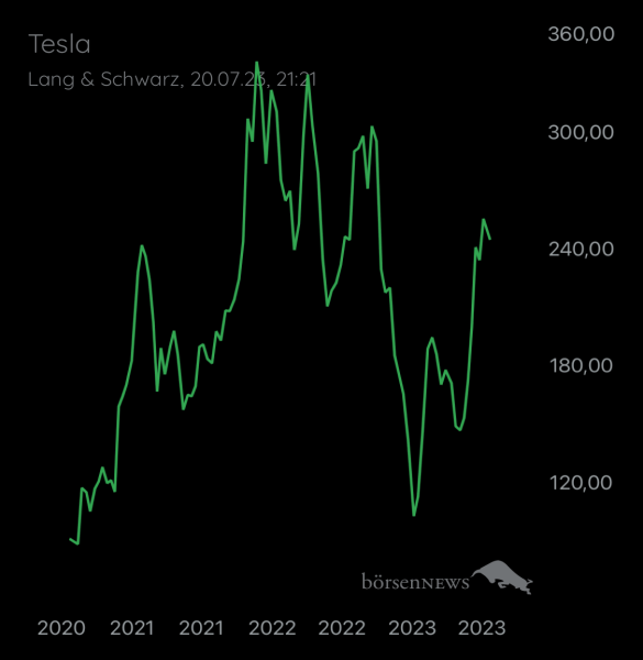 Wespen TESLA MOTORS