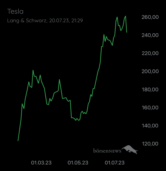 Wespen TESLA MOTORS