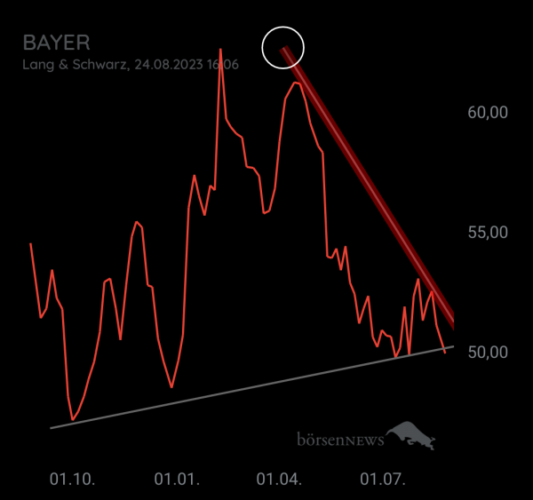 Organspender BAYER