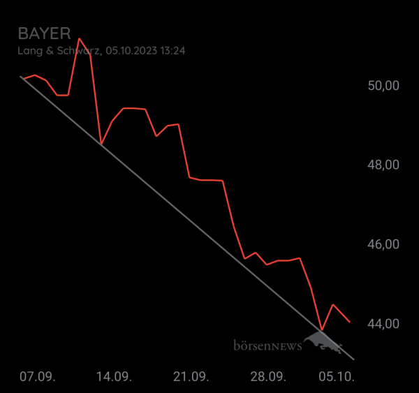 Organspender BAYER