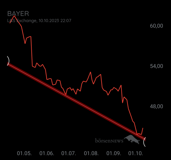 Organspender BAYER