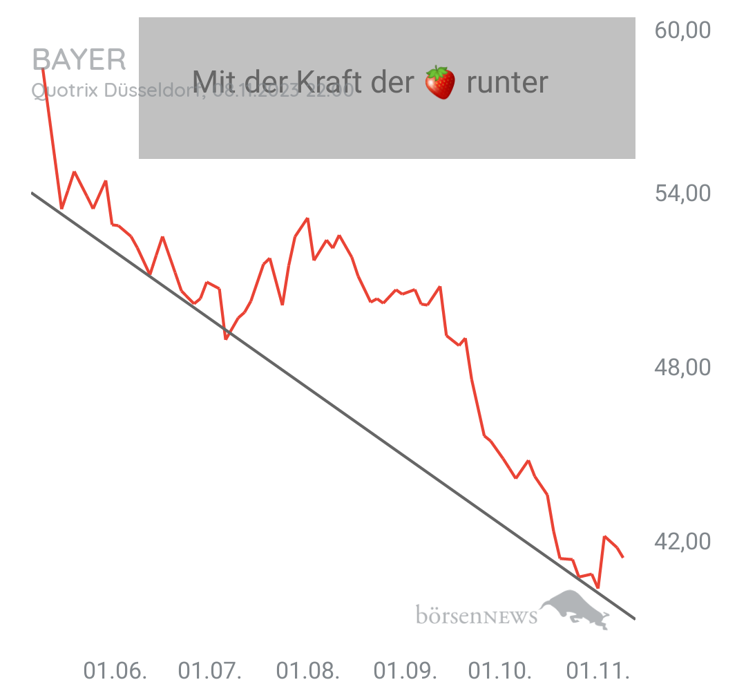 Organspender BAYER