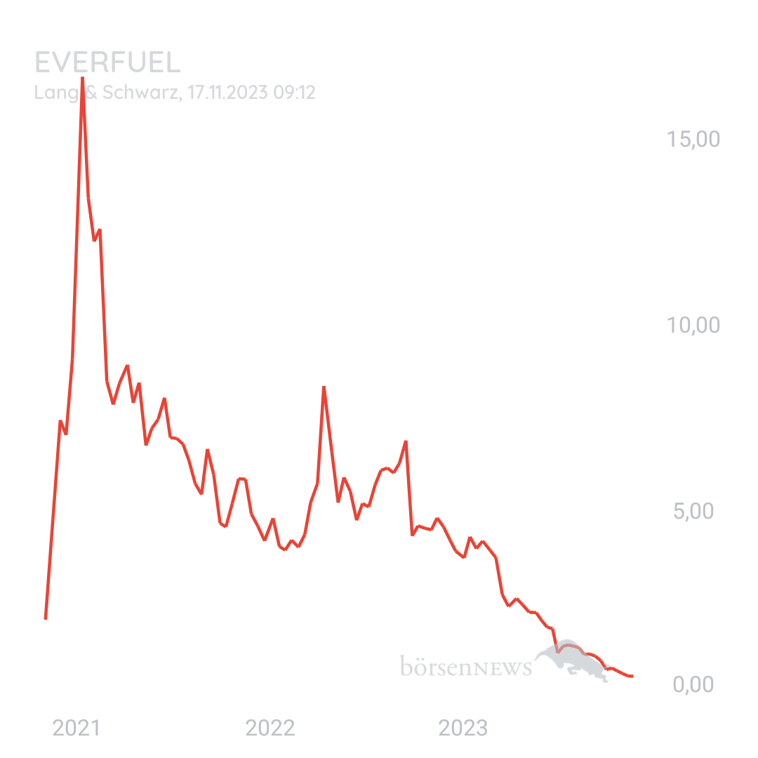 Ichundnichtdu Hauptforum Everfuel