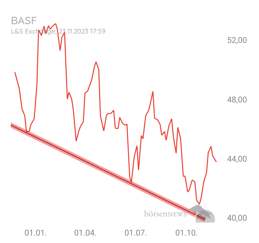 Organspender BAYER