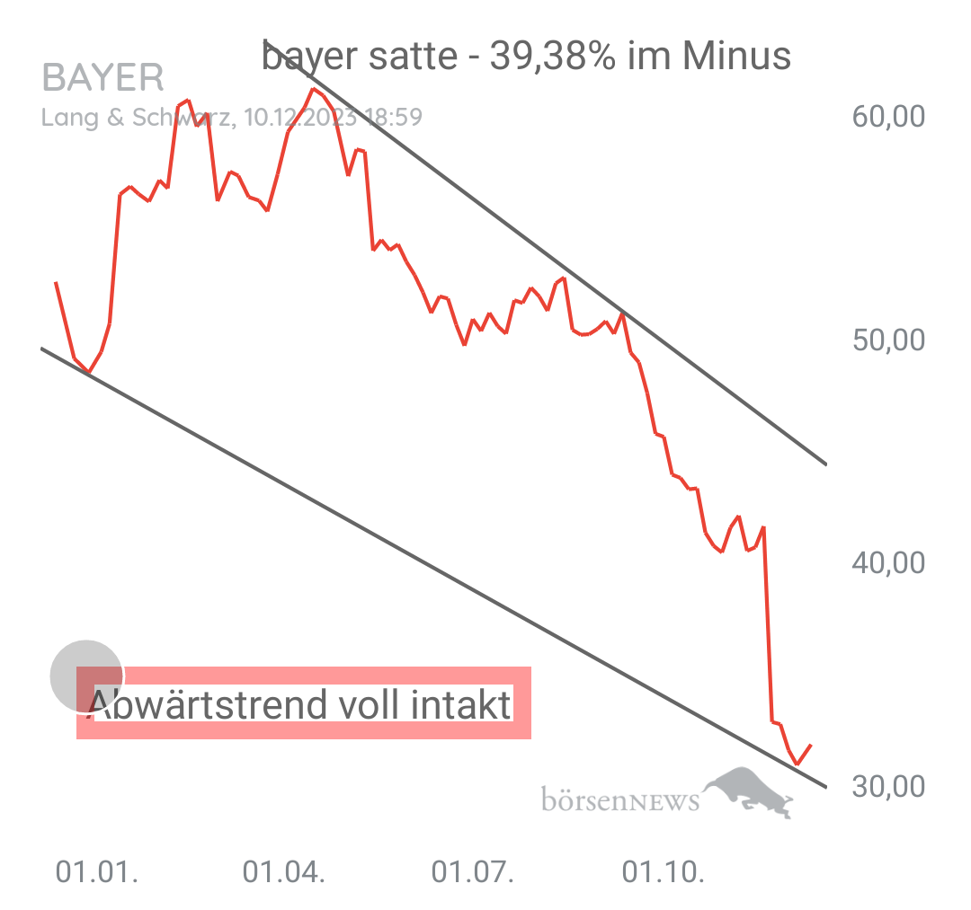 Organspender BAYER