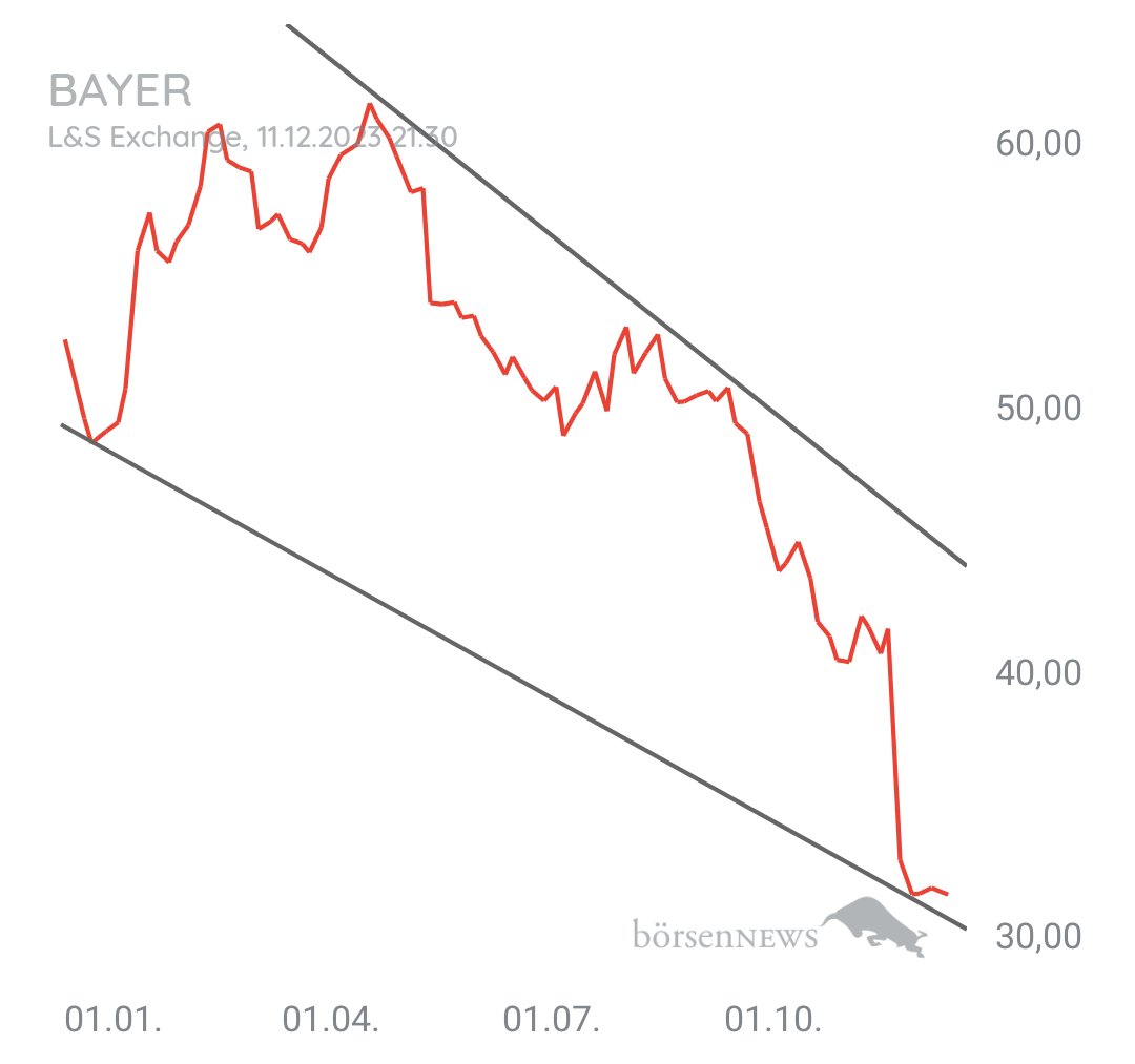 Löwenjagd BAYER