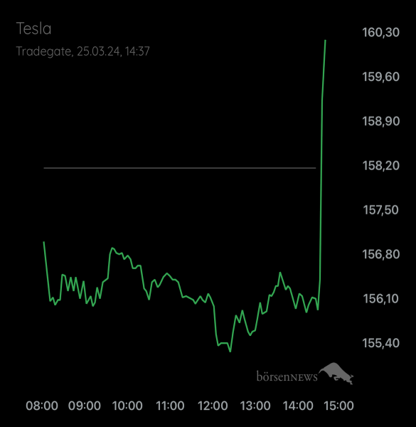 Palladio TESLA MOTORS